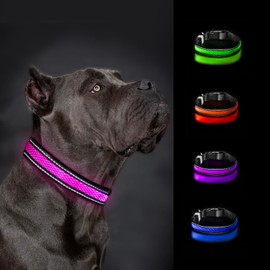Glow Collar LED Dog Collar - Rechargeable USB Light Up Dog Collar - Waterproof, Multi-Mode Flashing Dog Collar (Large, Green)