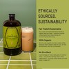 Explorer Organic Chai Tea Concentrate, Magician Spiced Honey, Drink Iced