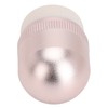 Oil Absorbing Face Roller for Oily Skin Care Egg Shape