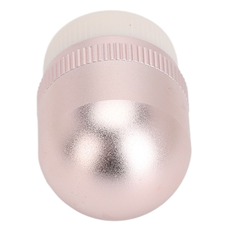 Oil Absorbing Face Roller for Oily Skin Care Egg Shape