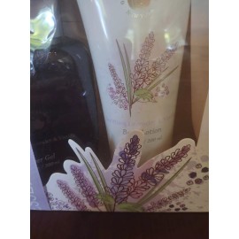 goldessence Soothing Lavender And Vanilla Body Wash And Lotion Goldessence Gift Package
