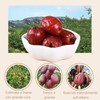 25 Packs of Chinese Crispy Red Dates,Dried Dates Crisp And