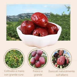 25 Packs of Chinese Crispy Red Dates,Dried Dates Crisp And Unpitted For Snacks And Baking, aAlternative To Pitted Dates…