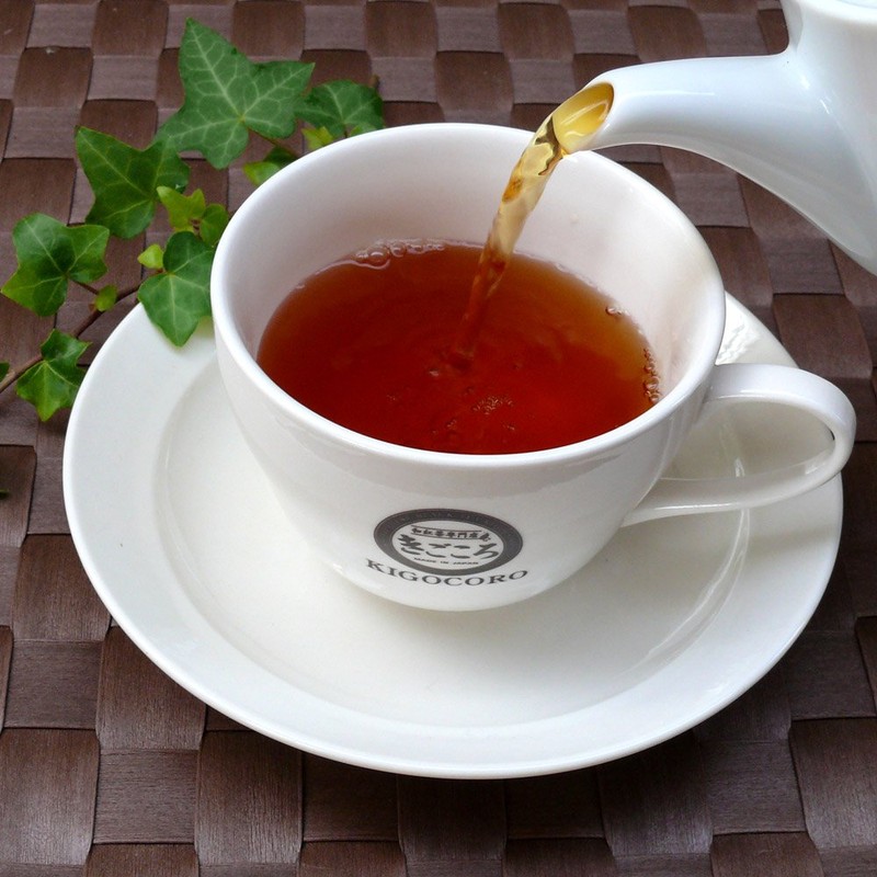 Kigokoro Japanese Tea Miyazaki Tea Bags, 0.1 oz (2.5 g)