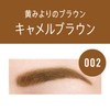 Rimmel Professional Eyebrow Pencil & Powder N 002 Camel Brown