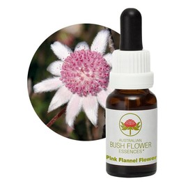 Pink Flannel Flower 15 ml Stockbottle Australian Bush Flower Essences