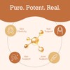 "HiPlus Multi Collagen Peptides Powder – Hydrolyzed Protein (Type I,