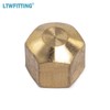 LTWFITTING 1/4-Inch Brass Compression Cap Stop Valve Cap,Brass Compression Fitting(Pack