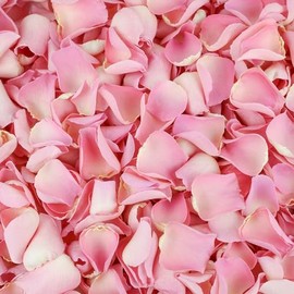 Petals and Roses Freeze Dried Rose Petal Confetti | Natural & Biodegradable for Weddings, Candy Floss, 2 Litres