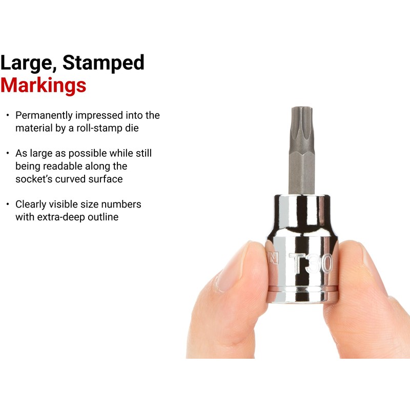 TEKTON 3/8 Inch Drive x T60 Torx Bit Socket |