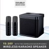 YS-203 Bluetooth Karaoke Speaker with 2 Wireless Microphones