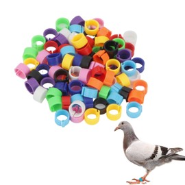 YFFSFDC 50 Pcs Poultry Foot Ring Bird Poultry Identification Rings for Doves Duck Duck Chicken Leg Rings Split Parrot Leg Rings Poultry Foot Rings Easy to Put on and Take off, Reusable, 8mm Colorful