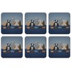 Plymouth Pottery - Hungry Cats Coasters - Set of 6