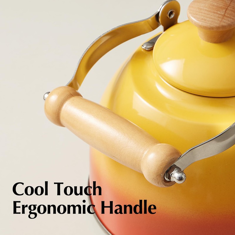ROCKURWOK Tea Kettle, Tea Pot with Cool Touch Ergonomic Handle,