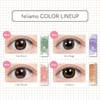Feliamo フェリアモワンデーUV10枚 白石麻衣イメージモデル 【シアーブラウン】-5.50