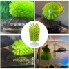 1Pcs Turtle Brush, Turtle Scrub Brush,Turtle Exfoliate Brush withTank Suction