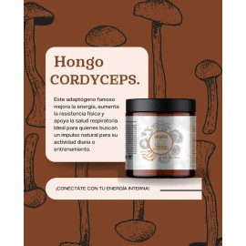 Hongo Cordyceps Orgánico Bolsa De 1 Kg Aumenta Resistencia