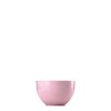 Rosenthal Thomas Sunny Day Müslischale Light Pink [SP] UVP: 19,00