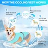COMFPET Dog Cooling Vest for Summer, Lightweight Jacket Dog Cooling