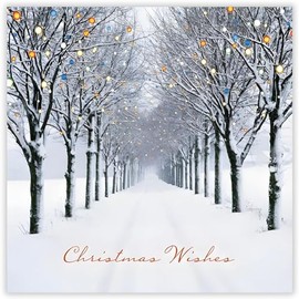 GBCC Charity Christmas Cards Pack of 10 - Charity Christmas Cards 2024 with Snowy Avenue of Trees Scene - Eco-Friendly Xmas Cards Multipack with Envelopes