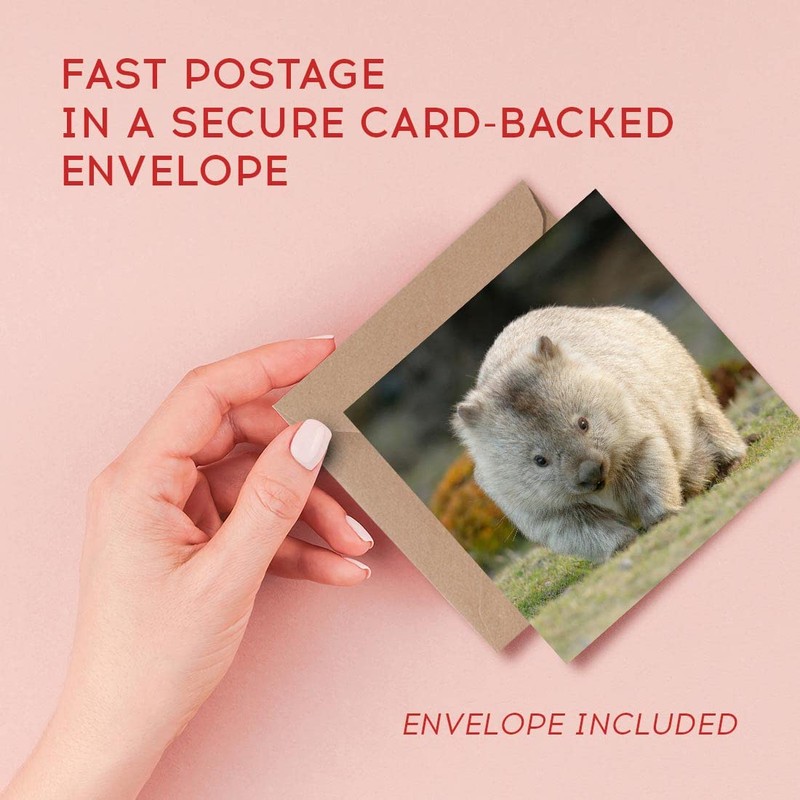 1 x Greeting Card Cute Wombat Australia Animal - Blank