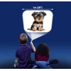 Brainstorm Toys Puppies Torch & Projector