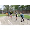 Pickleball Trainer, Pickleball Rebounder for Solo Training Anywhere, Durable, Portable,