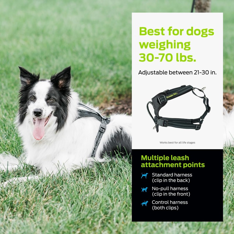 Premier Pet No Pull Comfort Harness - Reduces Pulling for