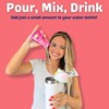 Bolero- Sugar Free Drink Mix Packets Watermelon Fruit Flavors |