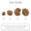 Naroa Artist Natural Sea Sponges for Painting 4 Pack |