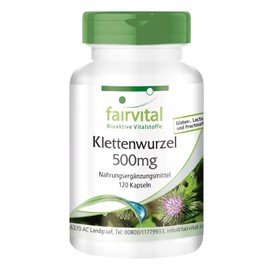 Fairvital Burdock Root 500 mg - Burdock Root + Zinc - High Dose - Vegan - 120 Capsules - Burdock Root