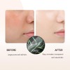 Mushroom Head Air Cushion CC Cream Foundation, Moisturizing Concealer BB