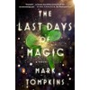 The Last Days of Magic: A Novel