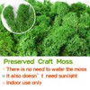 ACADOIT Preserved Reindeer Craft Moss-17.6oz Natural Green DIY Kit Gardenning
