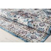Rugs America Isle IG10A Good Vibes Transitional Vintage Area Rug,