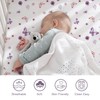 Little Grape Land Crib Sheets Fitted 2 Pack, Baby Crib