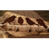Dewoga Edelrost birds with screw for screwing in wood, 4