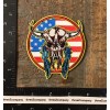 Unbranded Skull Feathers USA Flag Patriotic Iron-On Patch