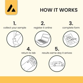 Full Asbestos Testing Kit with PPE, Instructions & Prepaid Return (1 Sample with 24hr Results)