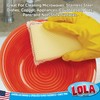Lola Products Microfiber & Nylon Net Sponges, 2 Included, Dual