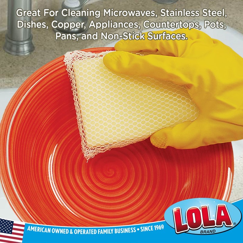 Lola Products Microfiber & Nylon Net Sponges, 2 Included, Dual