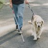 ZENWORYS Folding Blind Cane Anti-Slip Blind Cane for Vision Impaired