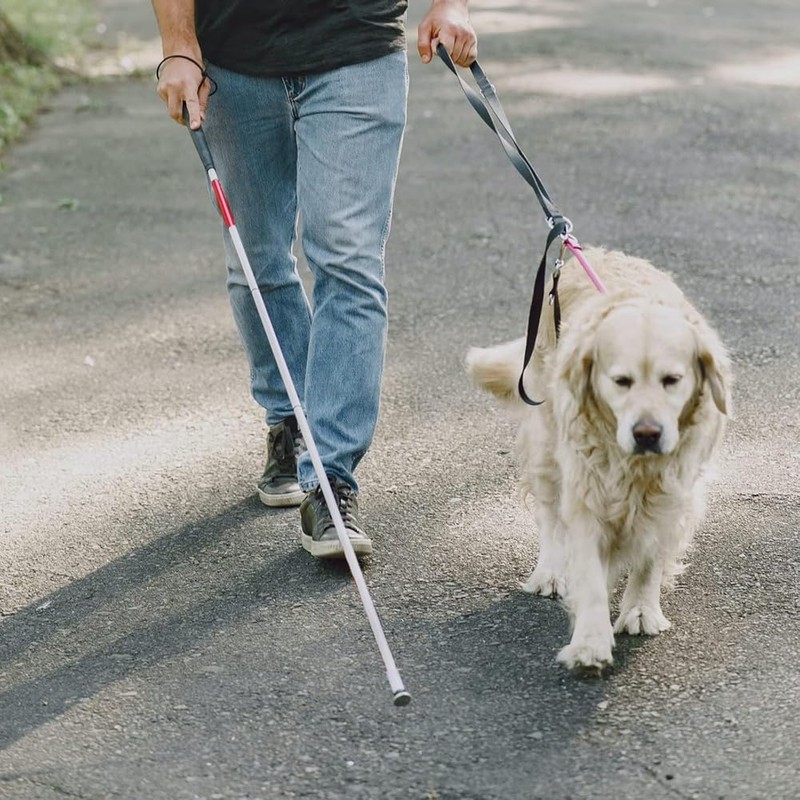 ZENWORYS Folding Blind Cane Anti-Slip Blind Cane for Vision Impaired