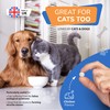 Bladder & Kidney Support Supplement for Dogs & Cats -