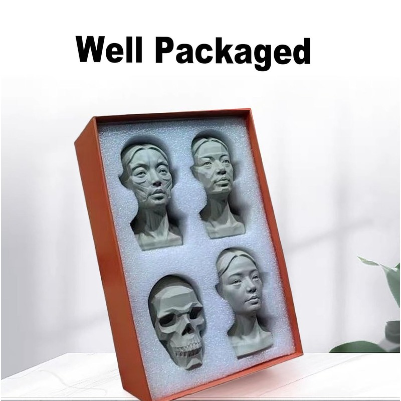 Generic Artists Head Models Mannequin Set, 4 Pieces, Includes Muscle