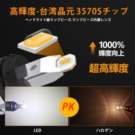 T20 LED Back Lamp, Explosive Light, Ultra Bright, 6000 Lumens, Built-in Canceller, 28W, High Power, W21W, Single Backlight, DC 12V (Compatible with Hybrid Vehicles EV Vehicles), 6000K-6500K, White,