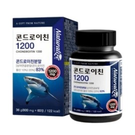 Naturalize Chondroitin 1200 600mg x 2 60 tablets / 네추럴라이즈 콘드로이친 1200 600mg x 60정 2개