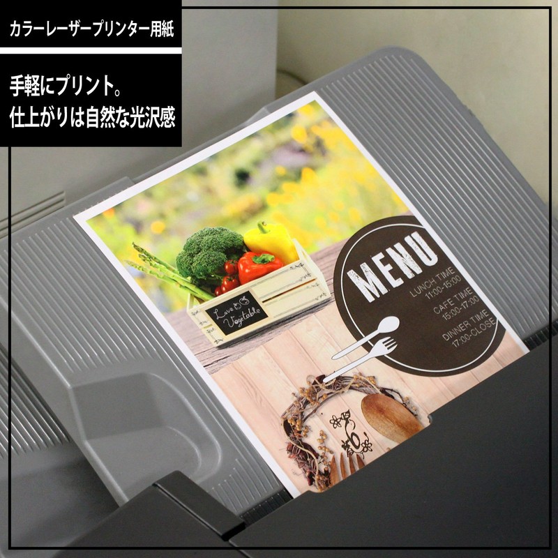 アピカ レーザープリンター用紙 両面印刷用微光沢紙 薄口 A4 100枚 LPF10A4