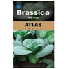 ATLAS Brassica -Atlas Crisp