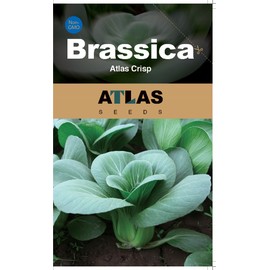 ATLAS Brassica -Atlas Crisp